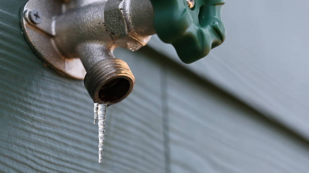 Best Local Plumber Services  in Bushland, TX
